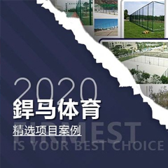 【回顾】2020年体育全年精选项目案例！